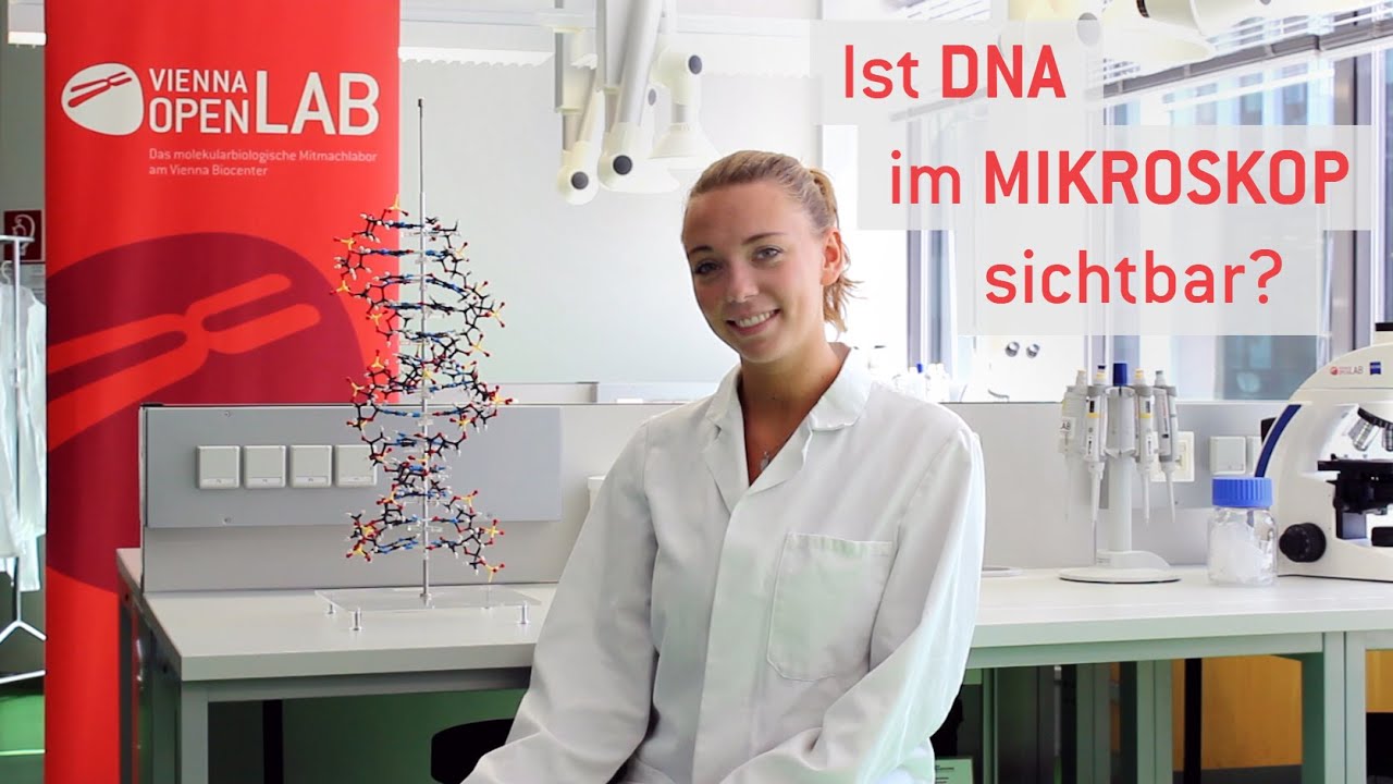 Kann man DNA im Mikroskop sehen?