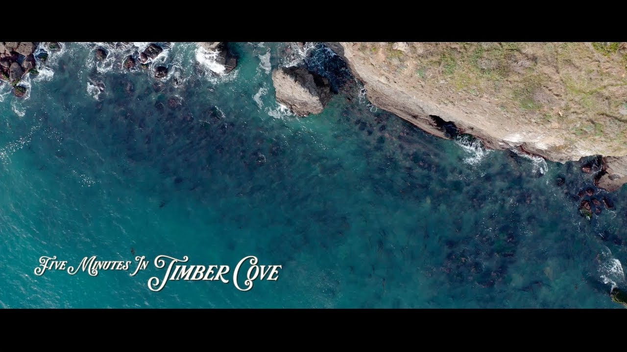 Five Minutes in Timber Cove