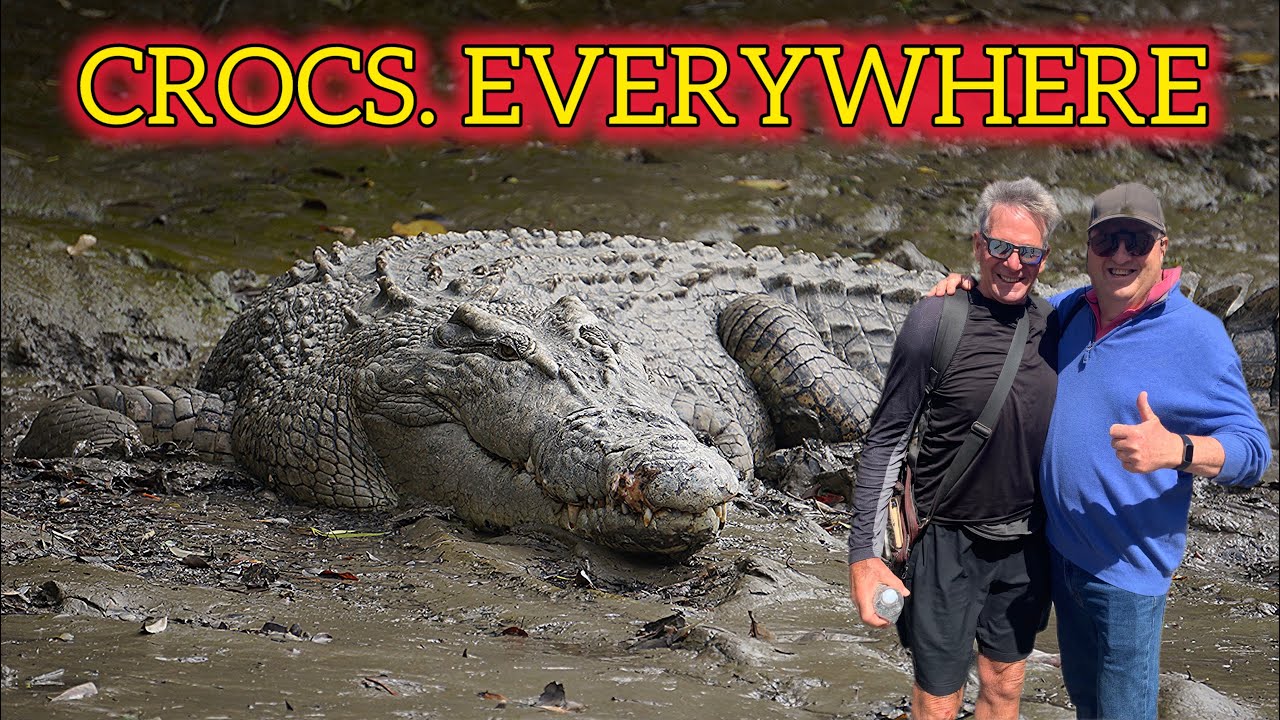 Whitsunday Crocodile Safari on the Proserpine River Queensland doesn’t disappoint.