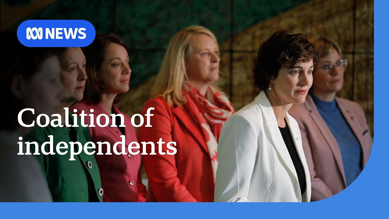 Teal independents consider teaming up to counter One Nation | ABC NEWS