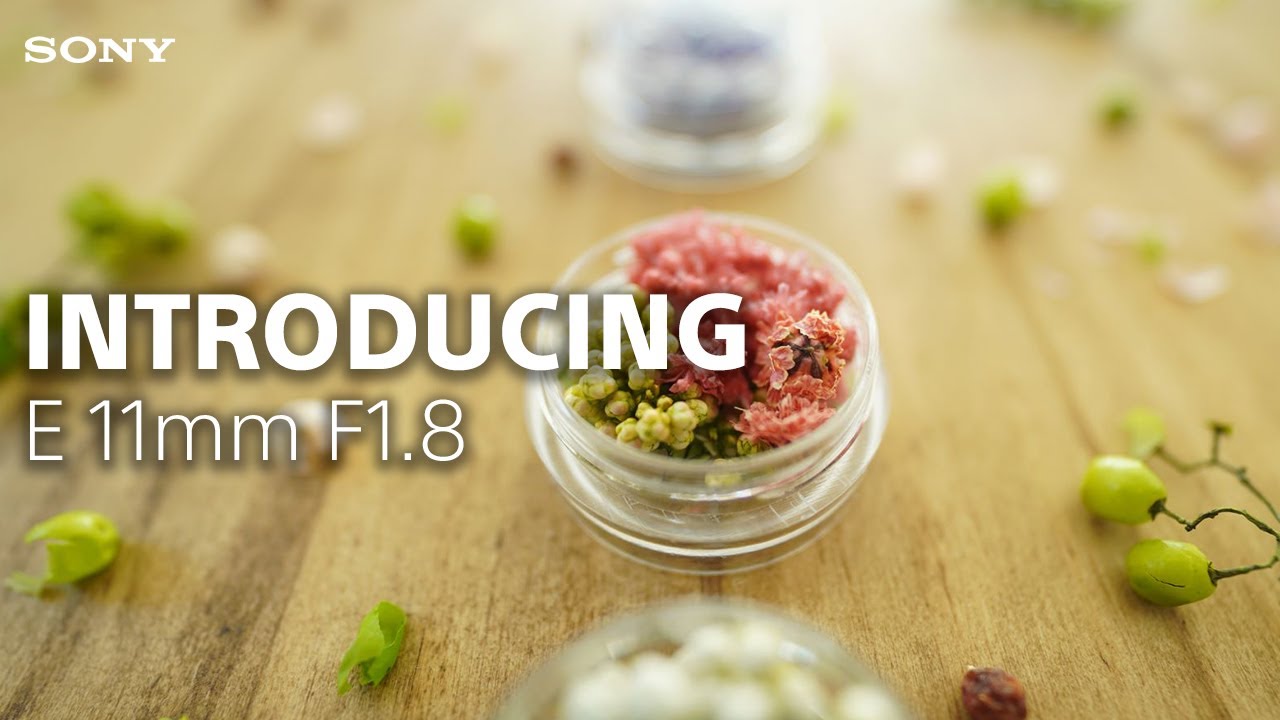 Introducing the Sony E 11mm F1.8 lens