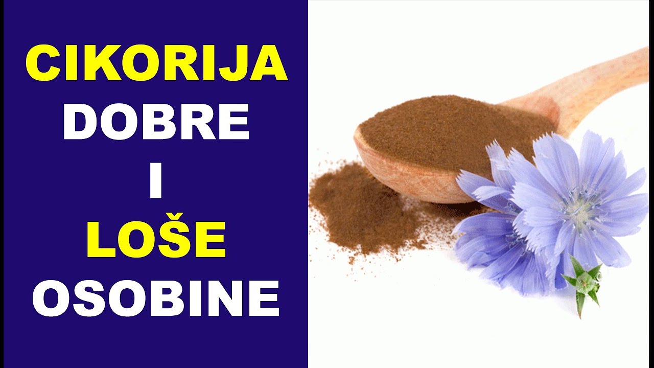 Dobre i loše osobine cikorije - dr Bojana Mandić