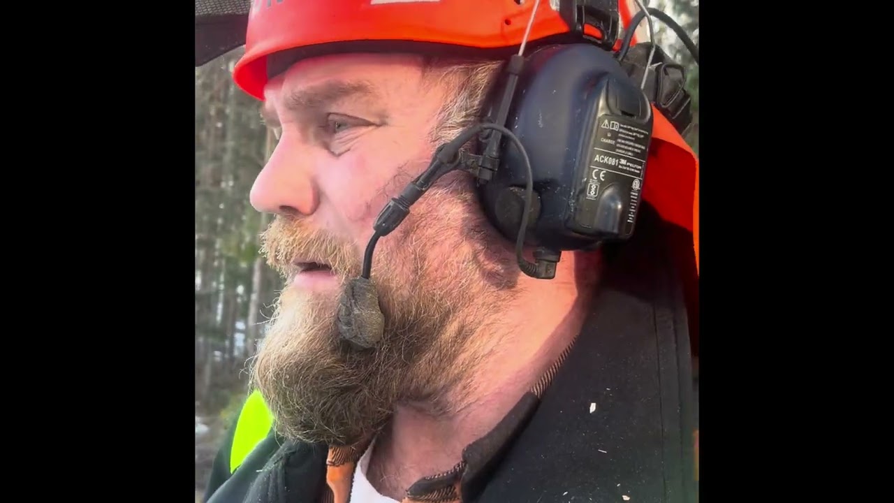 Gallrar en väg genom skogen. Avslutar med en Rönn i mycket dåligt skick.