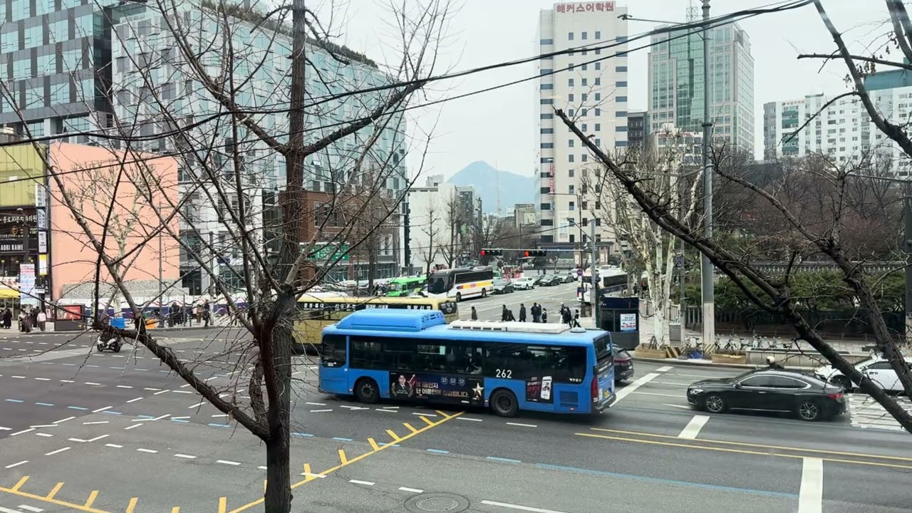 교차로 풍경입니다.