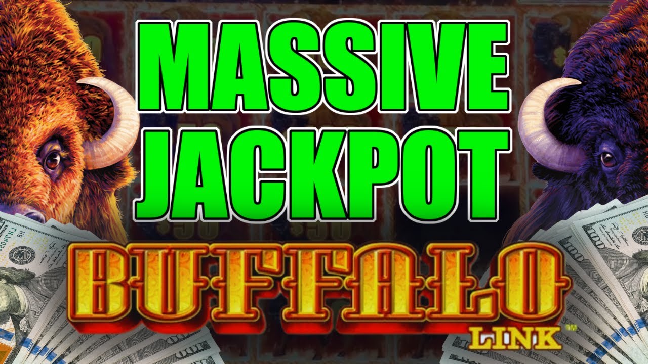 MASSIVE BUFFALO LINK JACKPOT at Belterra Park!