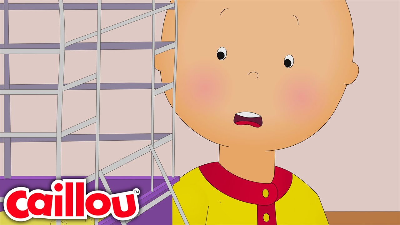 Au revoir Gérald | Les Nouvelles Aventures de Caillou - WildBrain | Épisodes Full HD