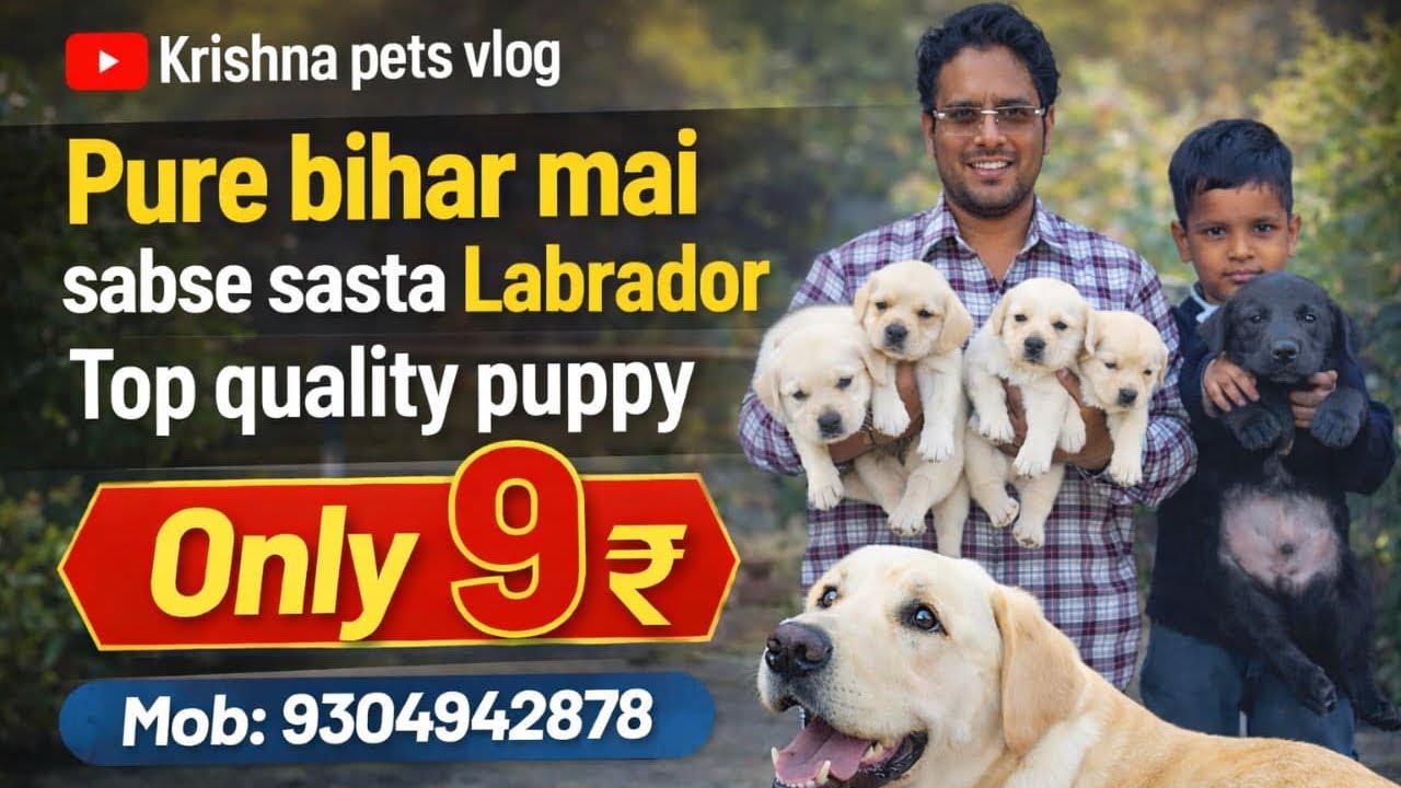 @jamalpurpets2948 
