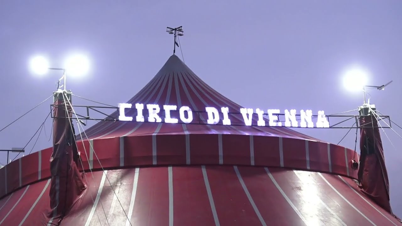 Trend and Dance 2024  Circo di Vienna Trieste 2023  terza parte show