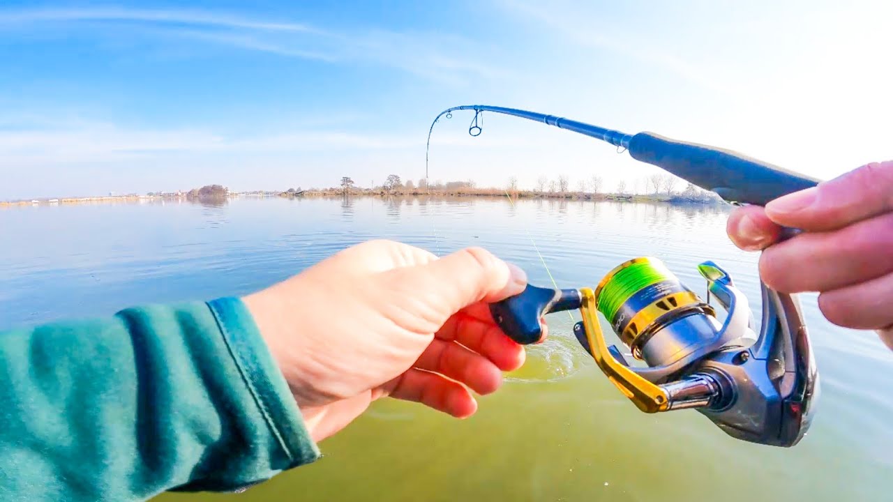 🎣 Prívlač Plná Šialených Súbojov s Veľkými Rybami! 🔥 