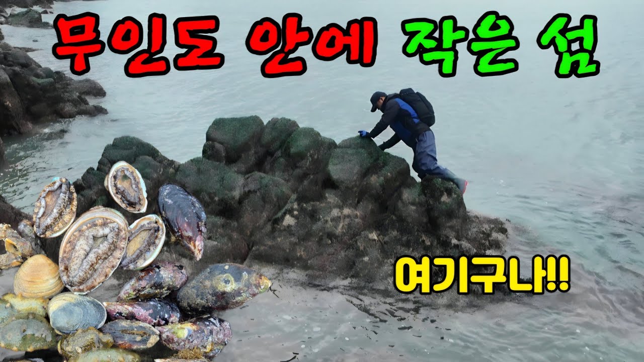 잠겨있던 무인도 속 작은 갯바위가 보이면 난리납니다