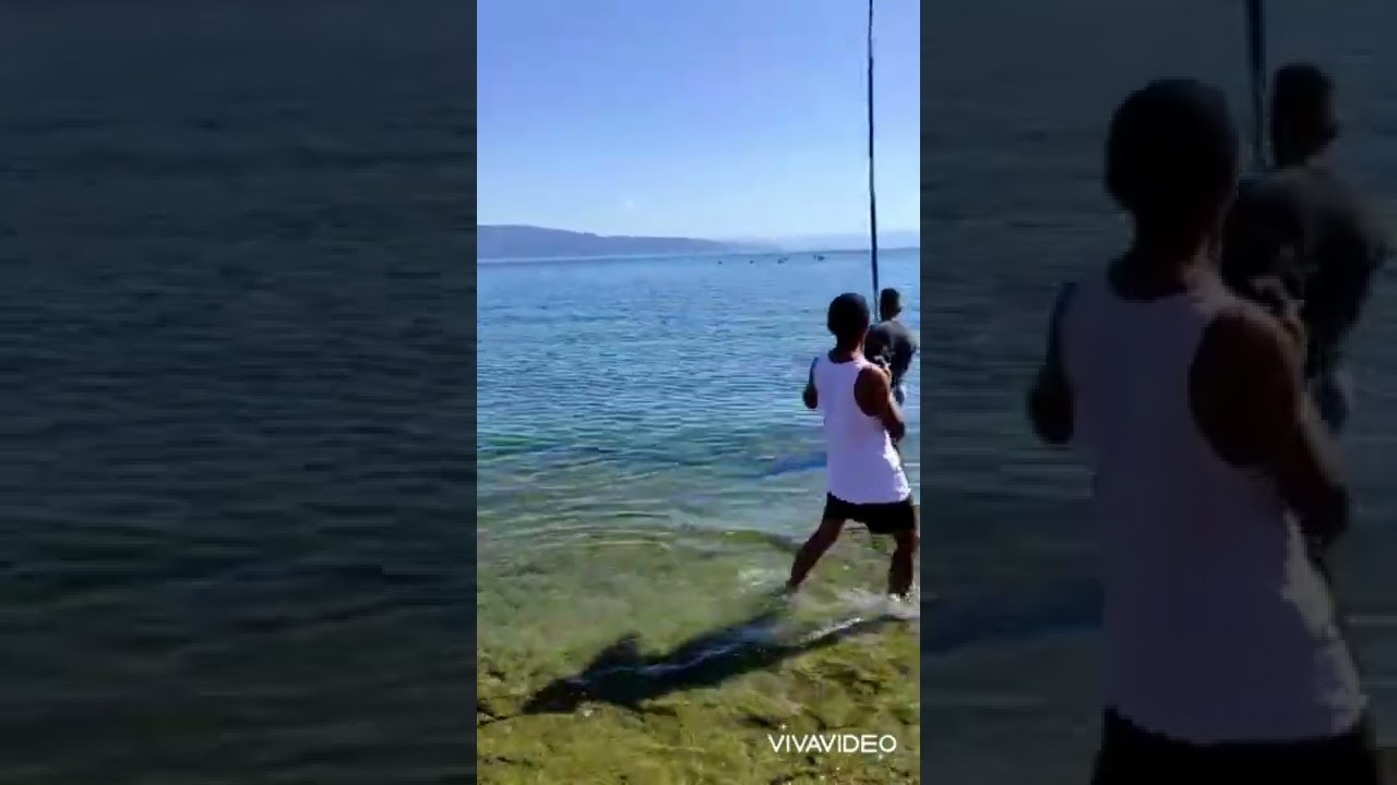 Büyük Sazan avı İznik gölünde