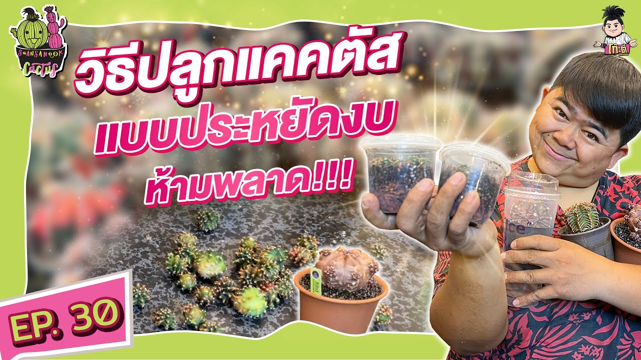 สวนสนุกแคคตัส//ep.30 ปลูกแคคตัส แบบประหยัดงบ ใครๆก็ปลูกได้!!!