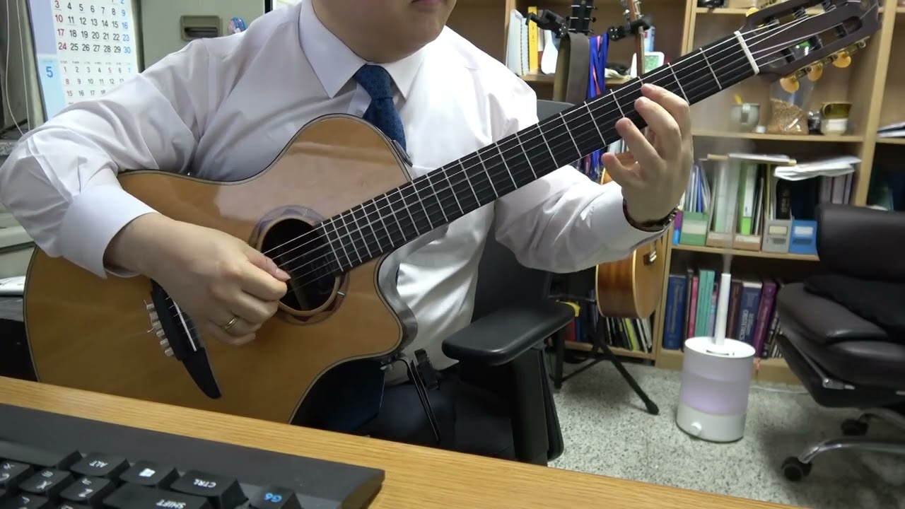 12 Studies, op 48, no 1  -  Mauro Giuliani