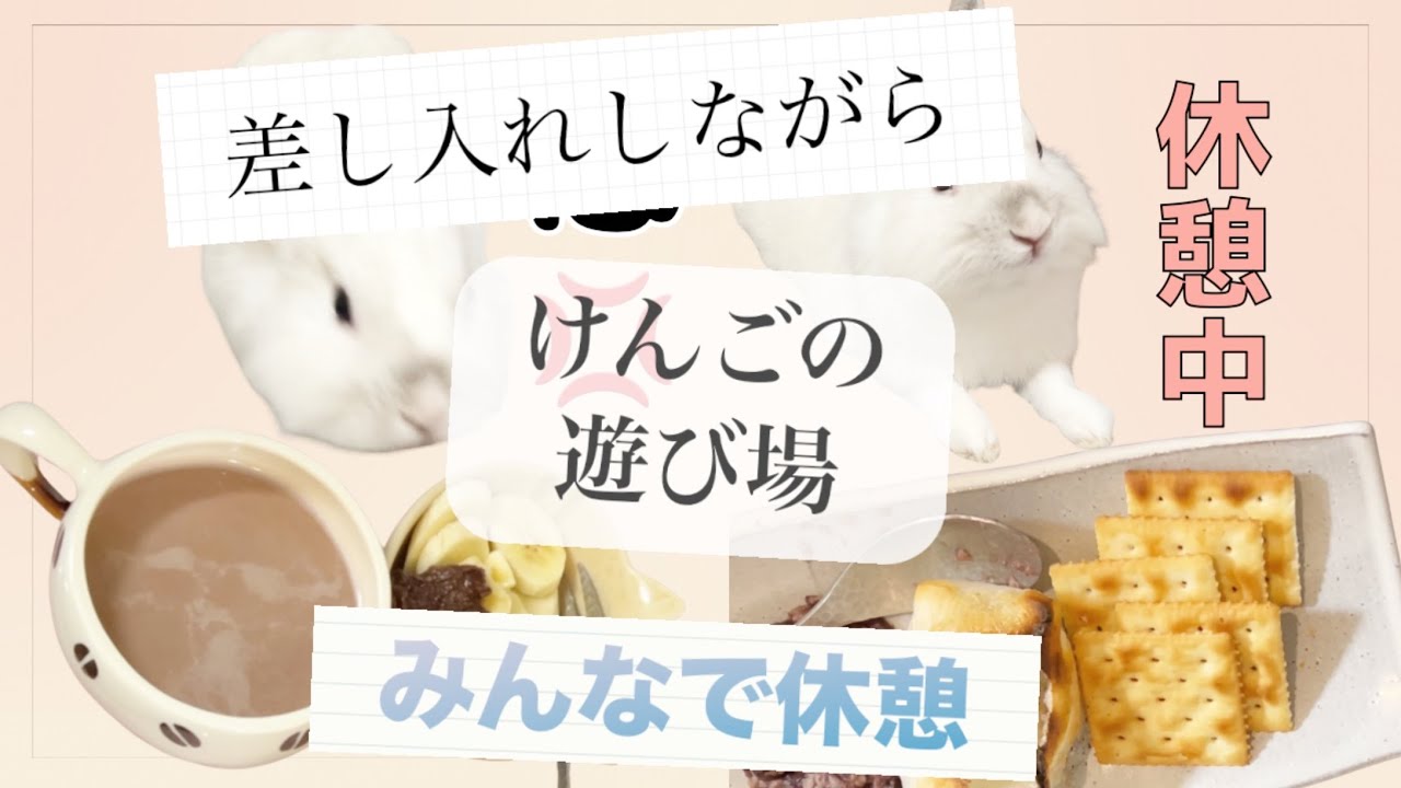 【けんごの雑談】差し入れ＆みんなで休憩