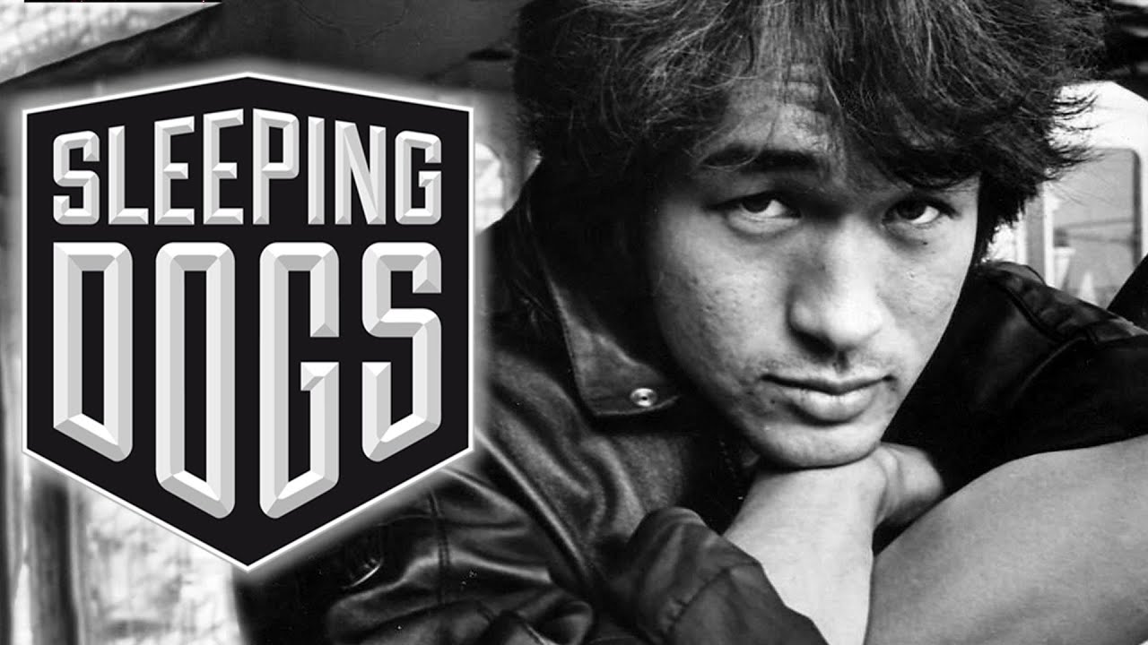 О чем был Sleeping dogs ? [2]