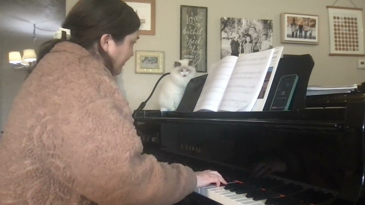 The Godfather Love Theme Piano Duet Primo part