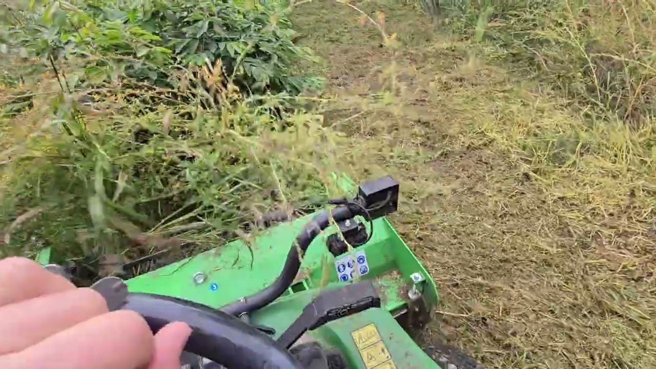 Jd 1565 con trincia Peruzzo