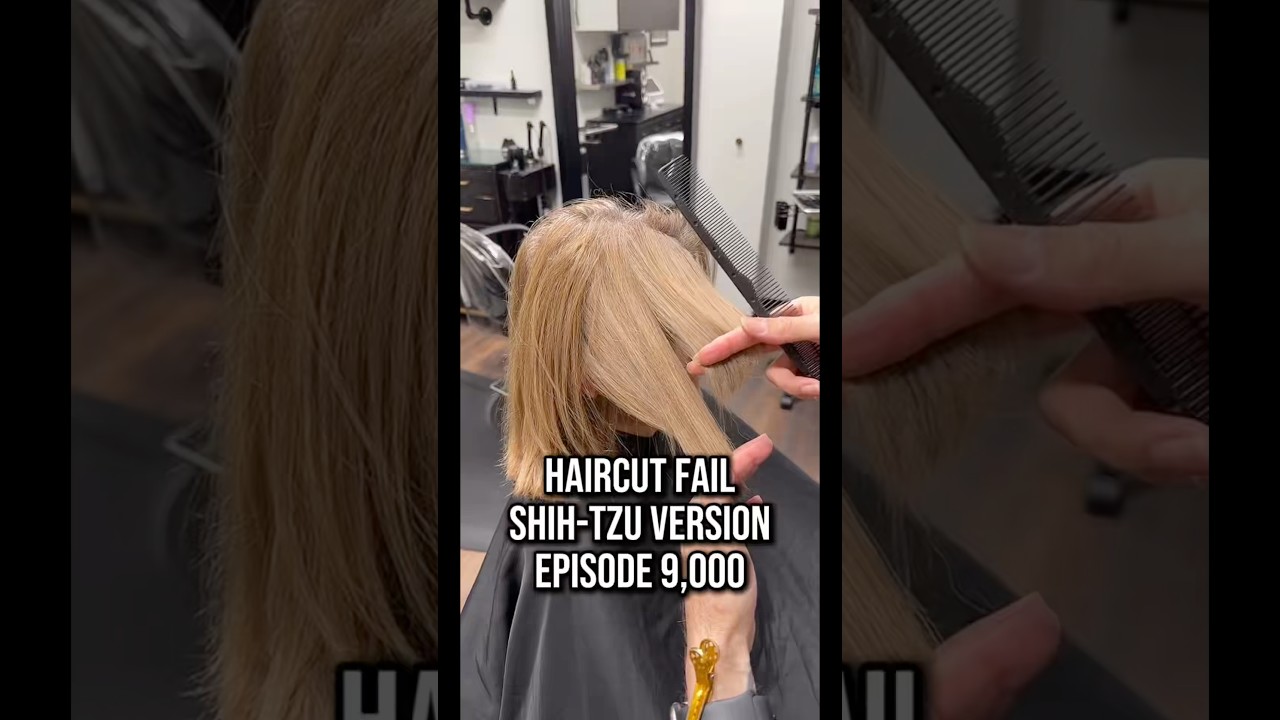 No more Shih-Tzu￼ haircut! #haircut #haircutting #haireducation #hairmaster #haircare #hairtutorial