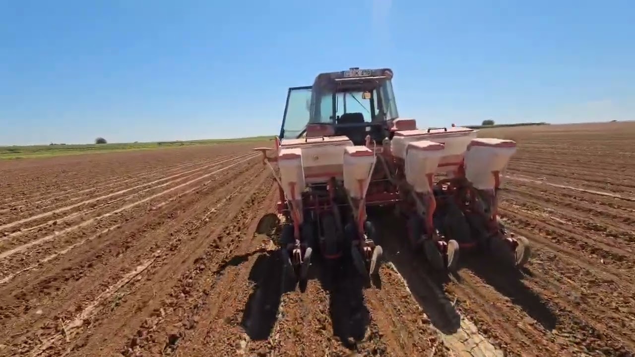 Massey ferguson 4255 ve uydu ile acur ekimleri tüm detaylarıyla🔥