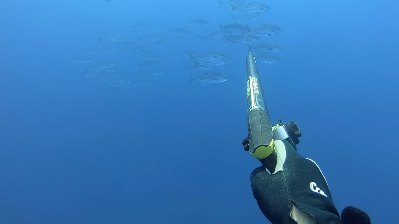 Pesca SUB  - Catture di mezza estate alle Isole Eolie