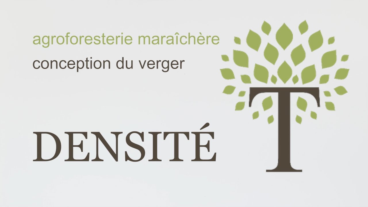 CONCEPTION DU VERGER - Densité