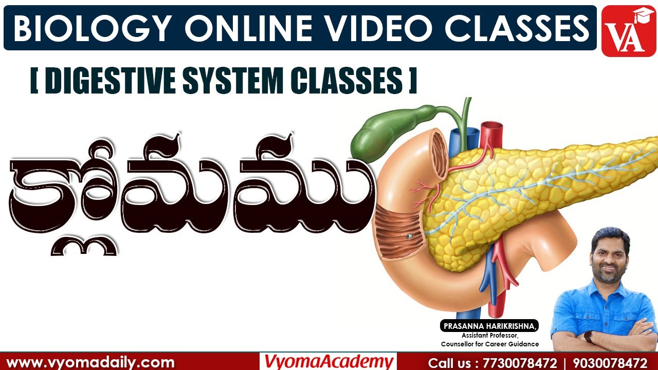 క్లోమము - Digestive System | Biology Video Classes by Prasanna Harikrishna Sir | Vyoma Academy