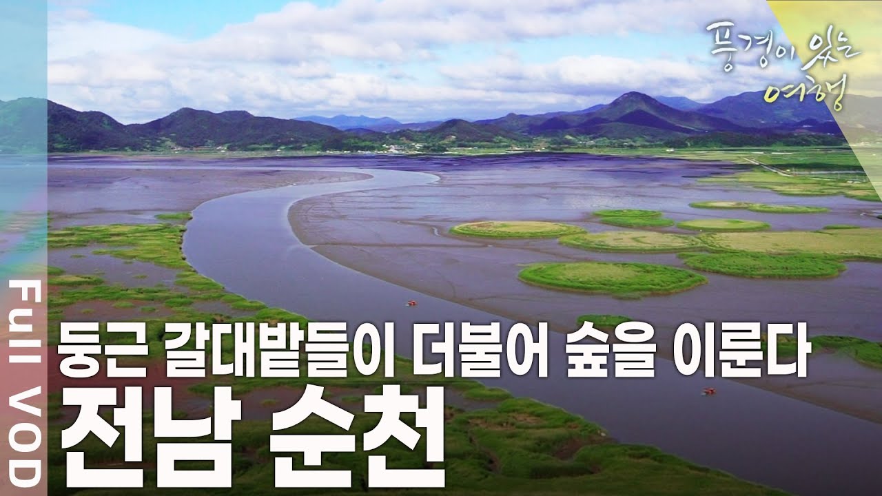 봄, 여름, 가을 겨울 화려한 풍경을 자랑하는 순천만의 고장 전남 순천 [풍경이있는여행 KBS 20110319 방송]