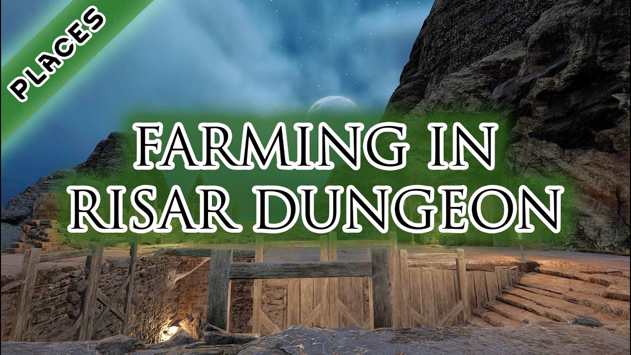 Mortal Online 2 Can you Duo or Solo Farm in Risar Dungeon 4K (Res) and Weapon Books and Grain Steel