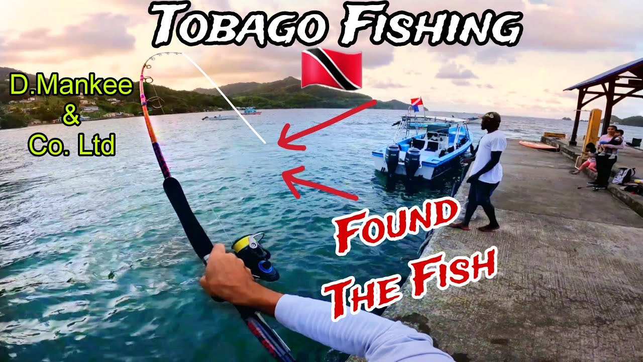 Exploring Country Side Tobago | Tobago Fishing🇹🇹