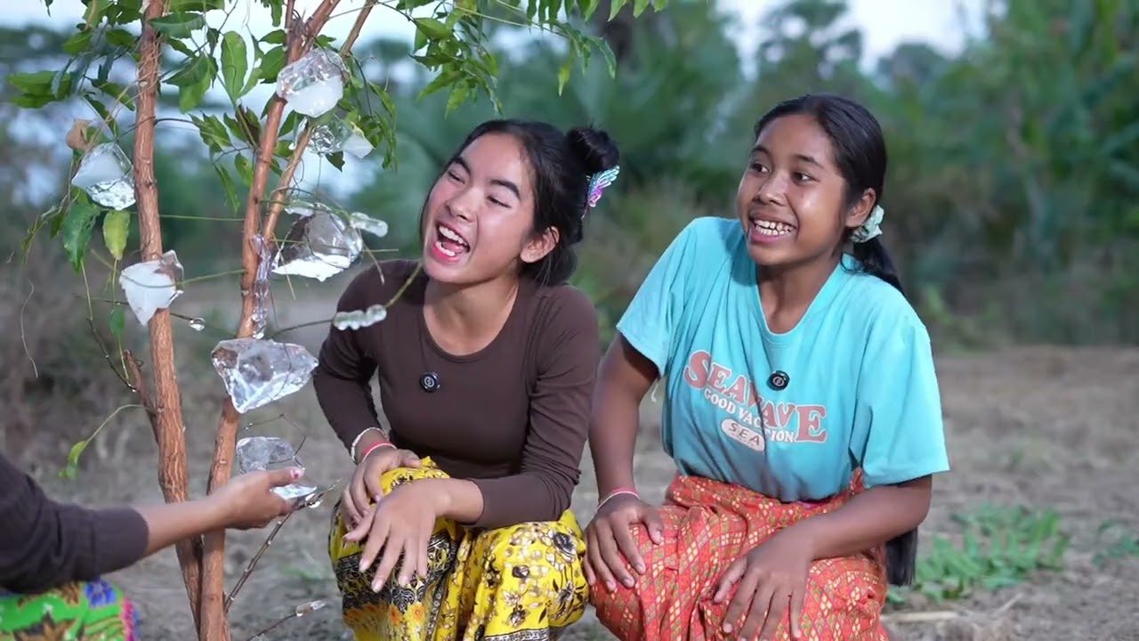 ដាំទឹកកក
