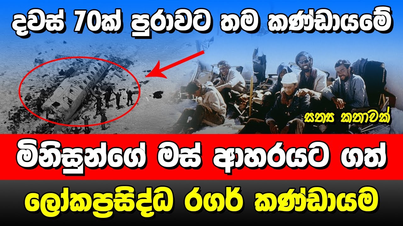 මිනිසුන්ගේ මස් ආහාරයට ගත් රගර් කණ්ඩායම.