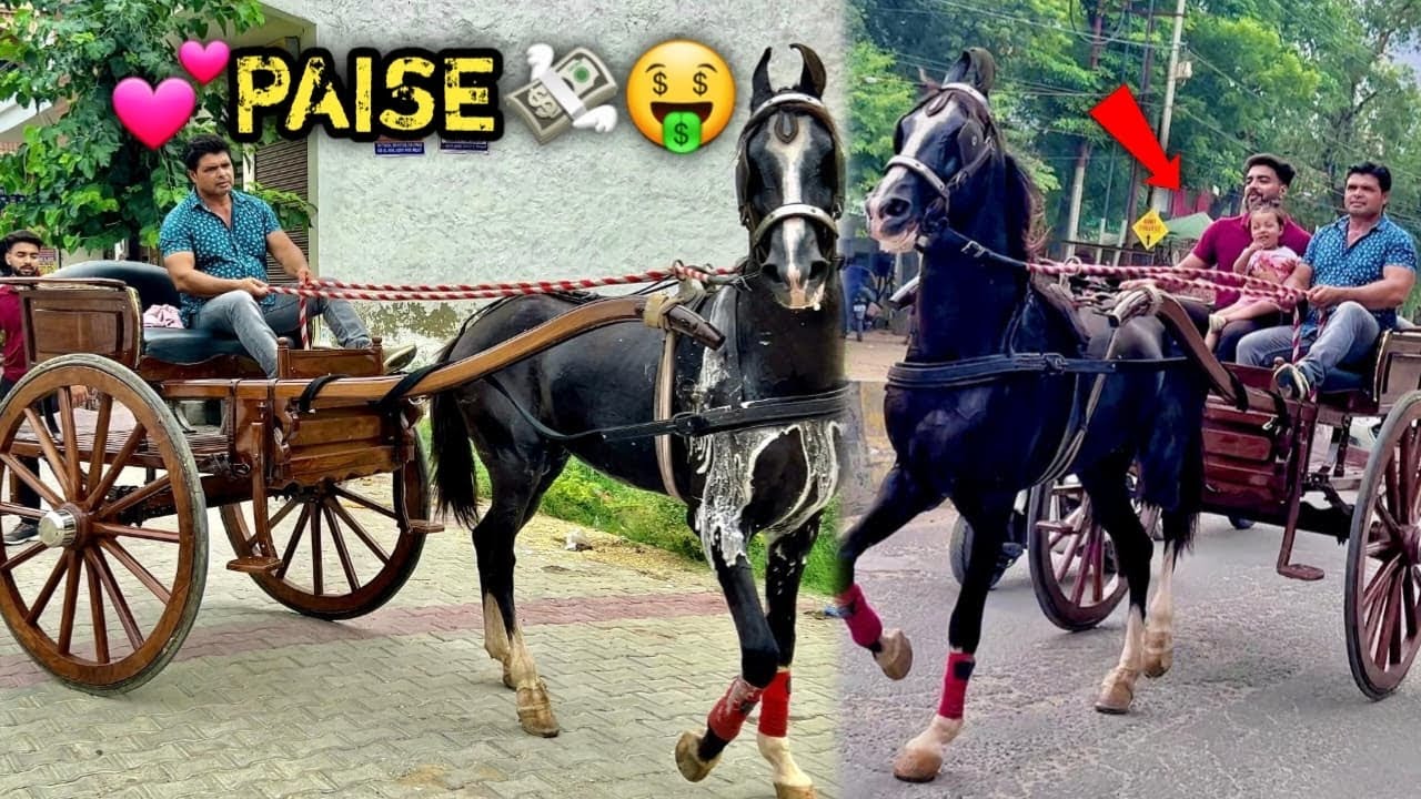 🔥RAFTAR K0 SHAH! RATH MA! GH@R LE AAY€❣️S0CHA NAH! THA  !TNE PA!SE M!LENGE RAFTAR K0🥳💰🤑