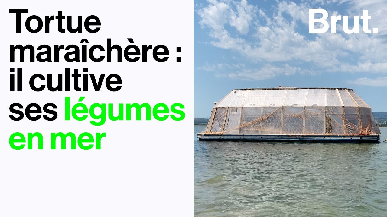 Il cultive ses légumes en mer