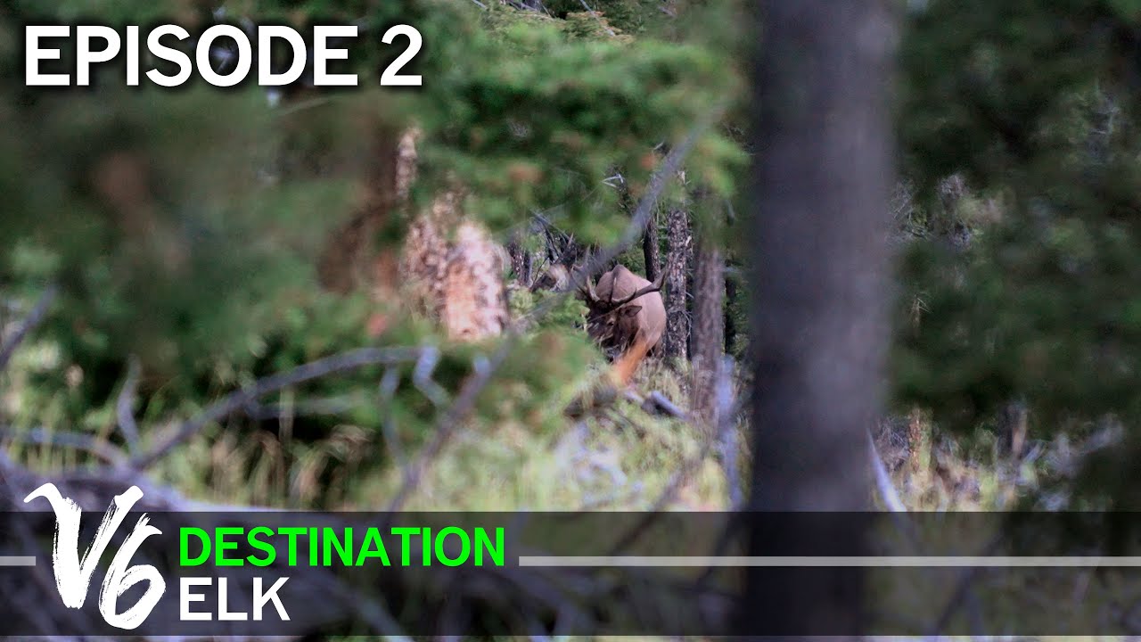 A Giant NM Bull in Donnie’s Lap - Episode 2 (Destination Elk V6)