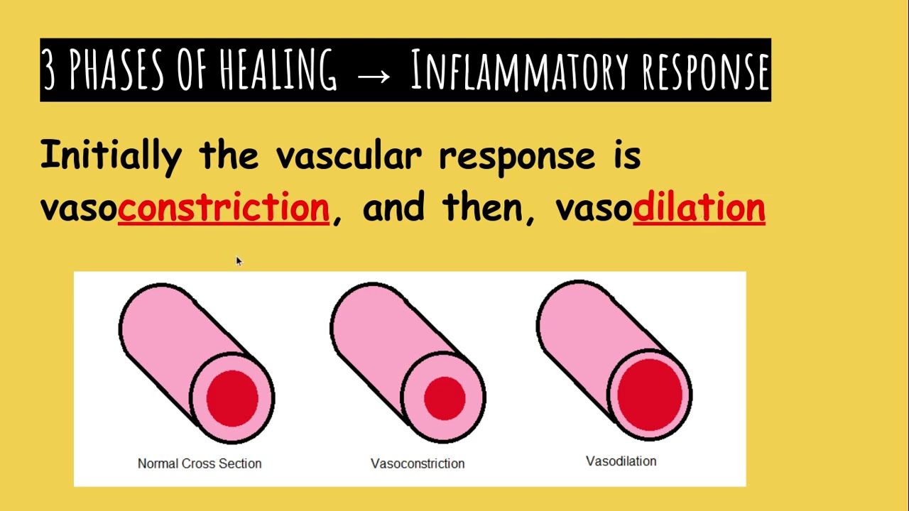 Therapeutic Modalities (Sports Med.) Pt. 1
