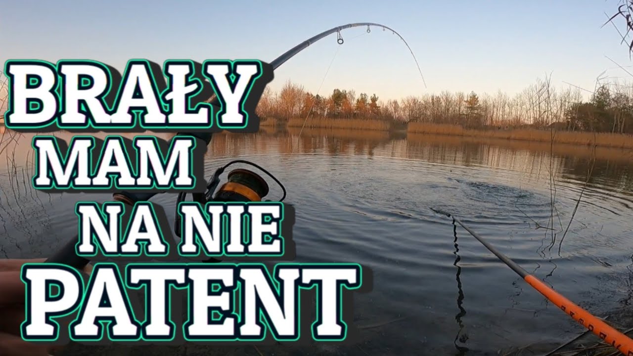 DUŻE RYBY w DZIEŃ na ŚWIETNYM ŁOWISKU