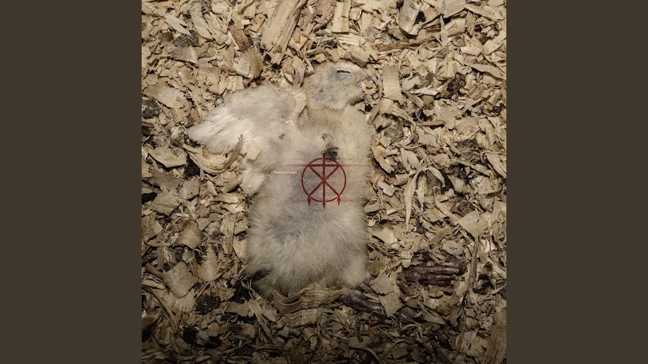 V For Visceral