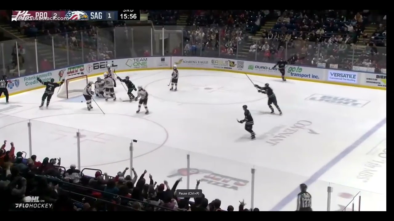 Saginaw High Ice OZP Goal