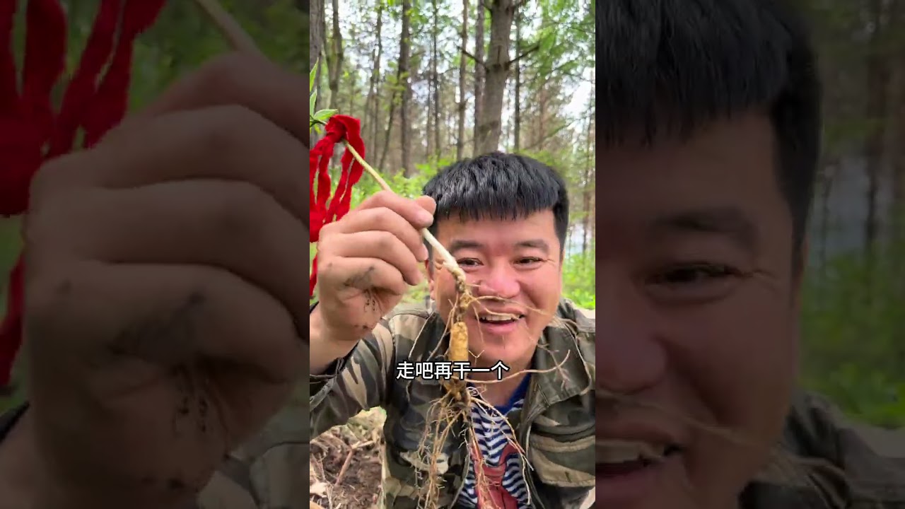 百万元一斤的植物大家认识吗？大山里的快乐#大自然的馈赠#记录大山里的农村生活