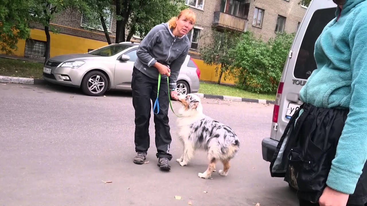 Команда 