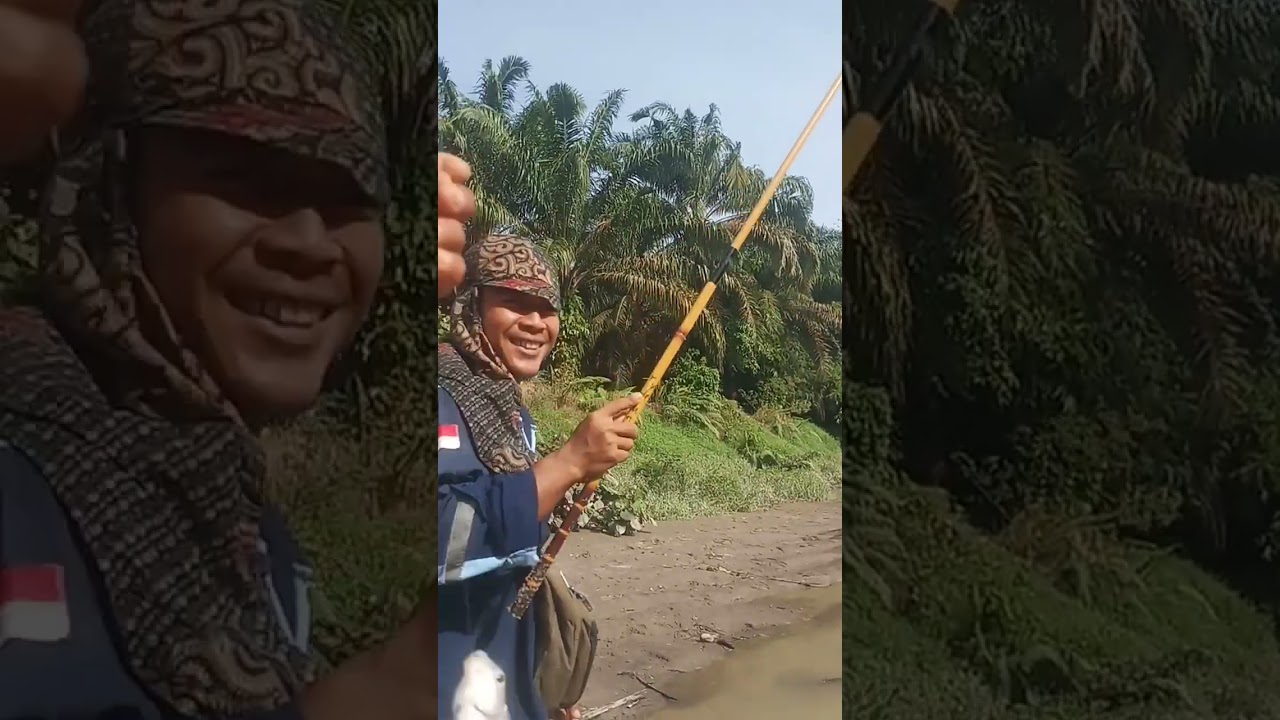 Sunjawfising Ep 8,mancing sungai liar hasilnya langsung bakar bakar mantap lurr,, 🤤