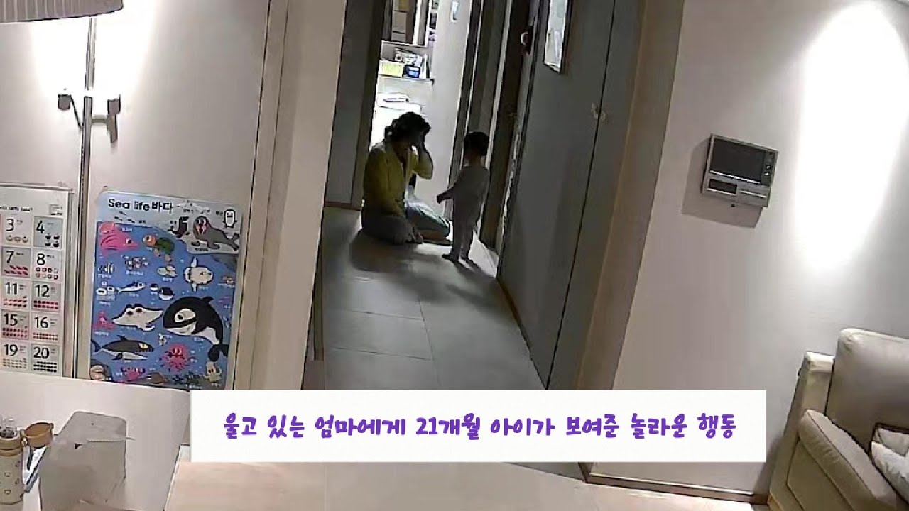 엄마가 울음을 터뜨린 밤, 21개월 아들이 건넨 위로 (When Mom Cried..🕊️)