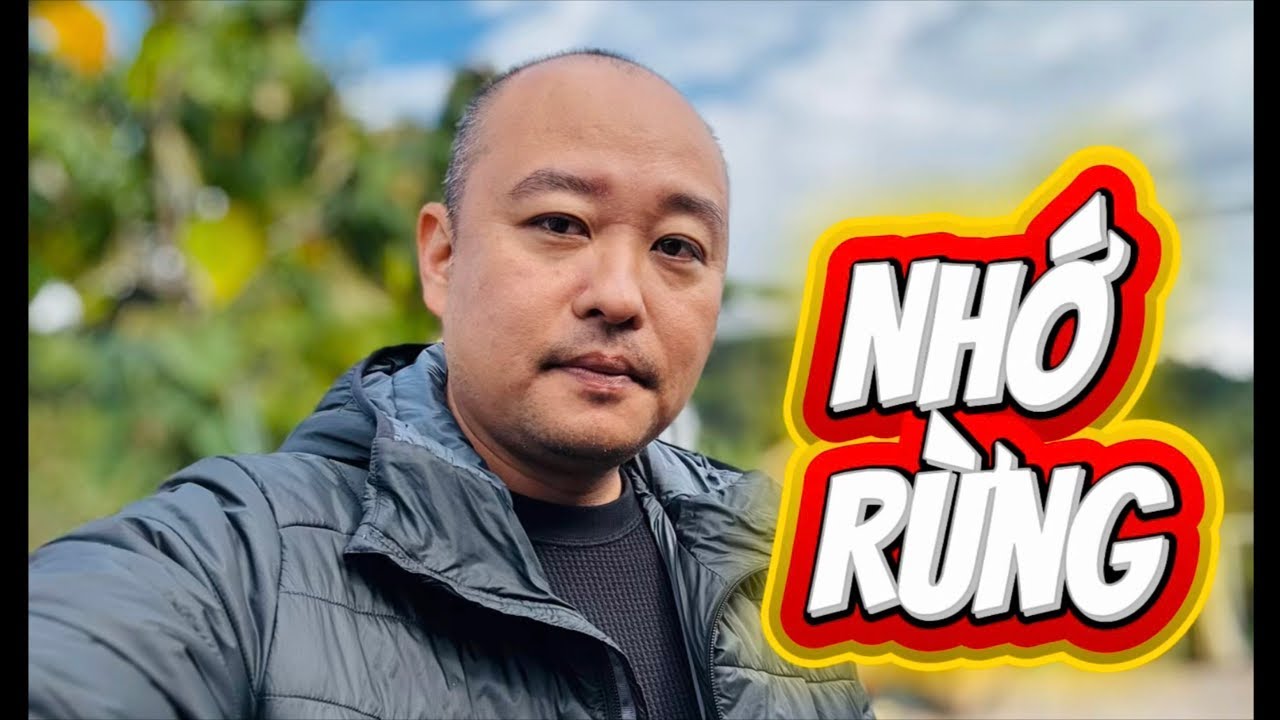Nhớ Rừng #xuantrungpham #doanvanbau #thimet #xuanlambohanhlao