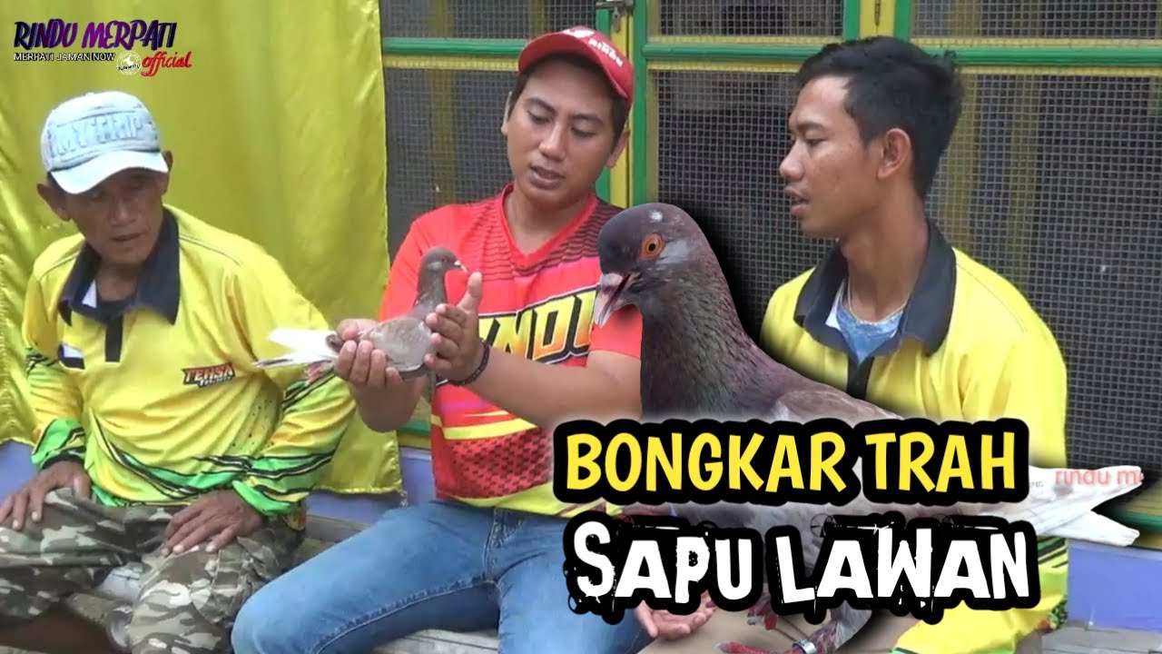 MAEN KE KANDANGNYA Team TEHSA Batang; SAPU LAWAN