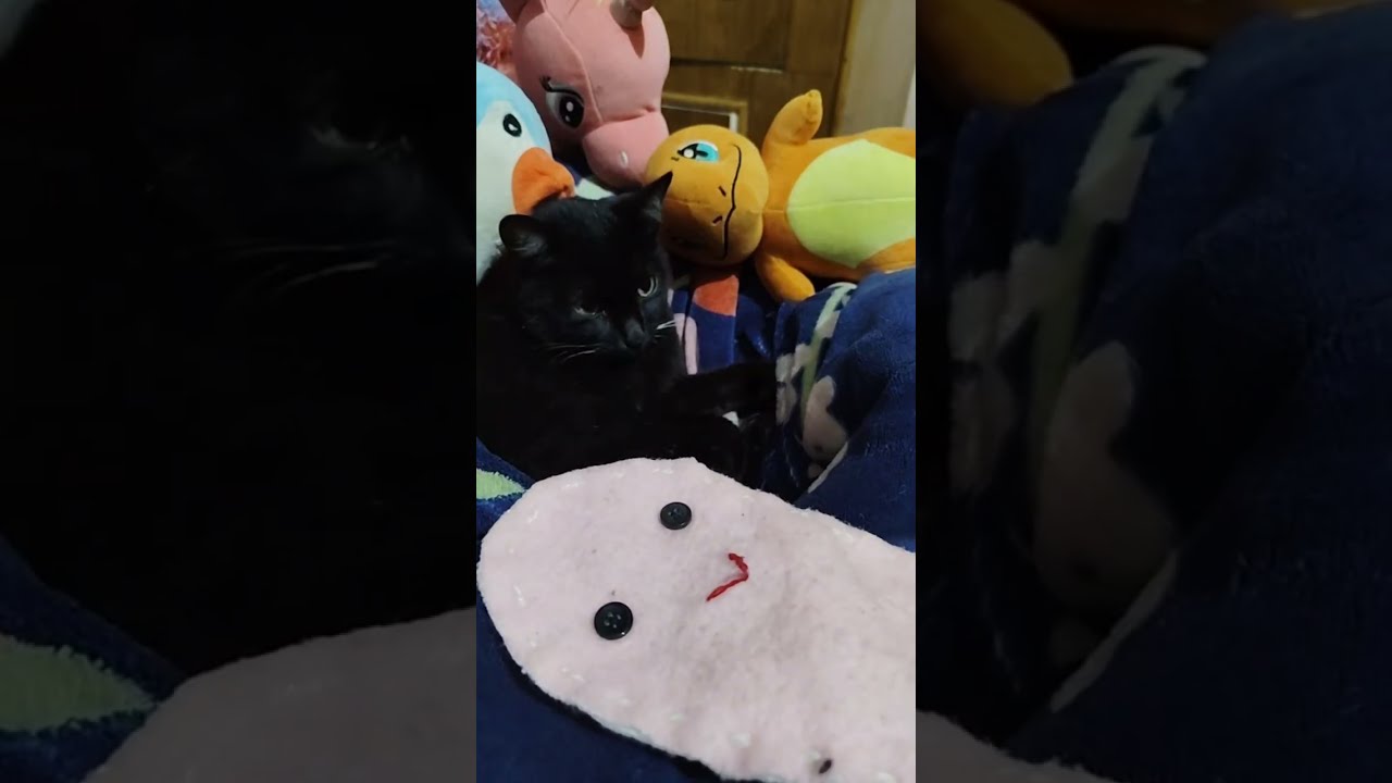 Good morning friends ☀️☀️😻☀️☀️