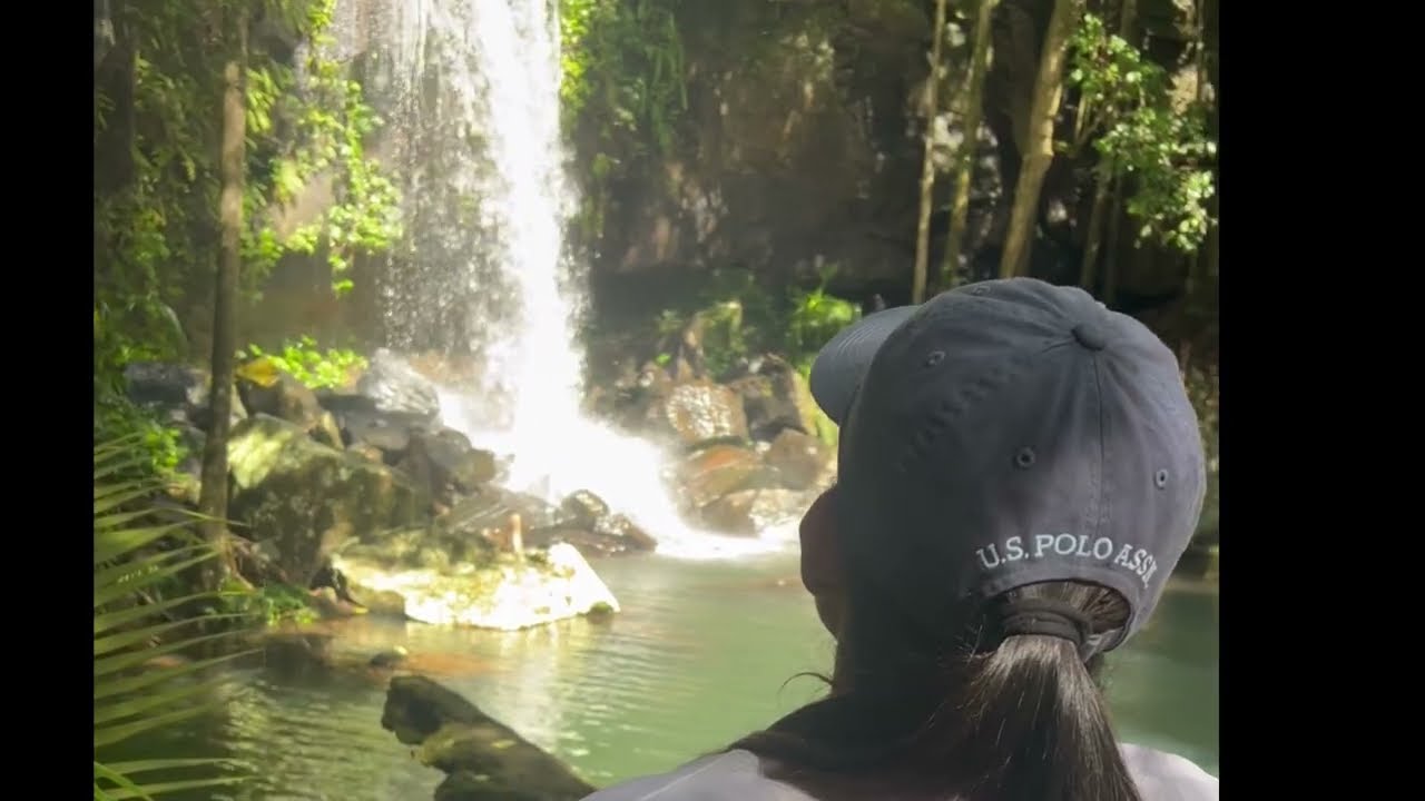 Tamborine Mountain Waterfall Walk 🌿 | Family Adventure & Memories