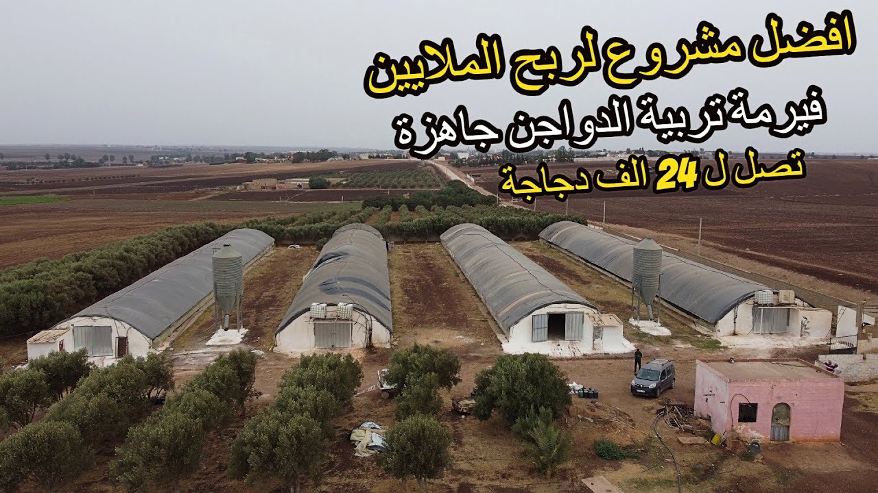 ✨نهارك الاول تبدا بجني الارباح لاصحاب رؤوس الاموال والاستثمار فيرمة دواجن جاهزة  ✨ سطات