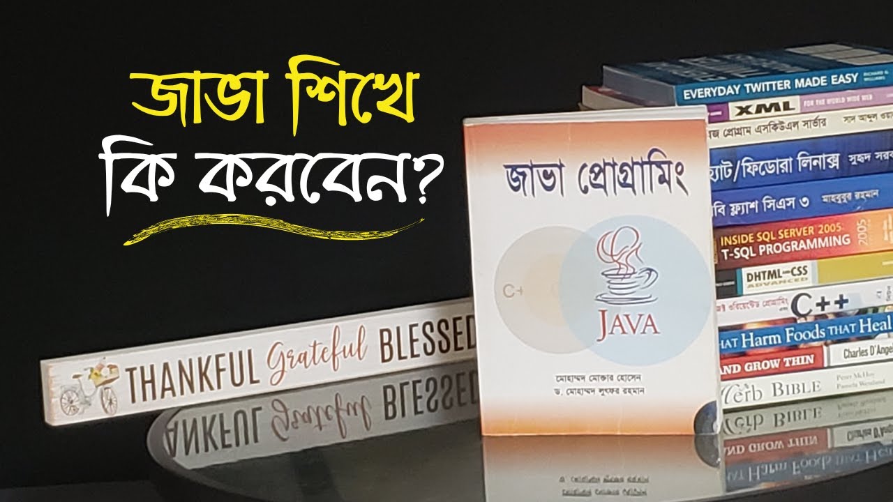 জাভা প্রোগ্রামিং শিখে কি করবেন ? | Learn JAVA
