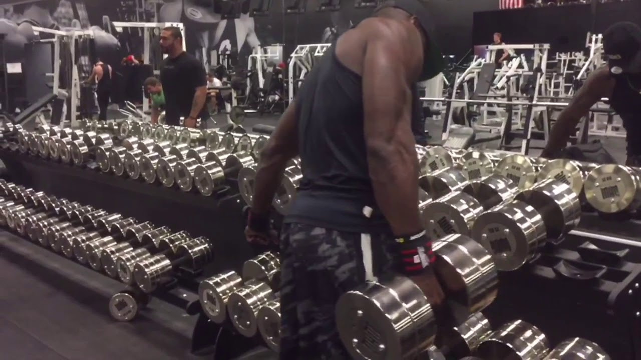 BACK WORKOUT @ THE WARHOUSE GYM | ROB BAILEY MUSIC