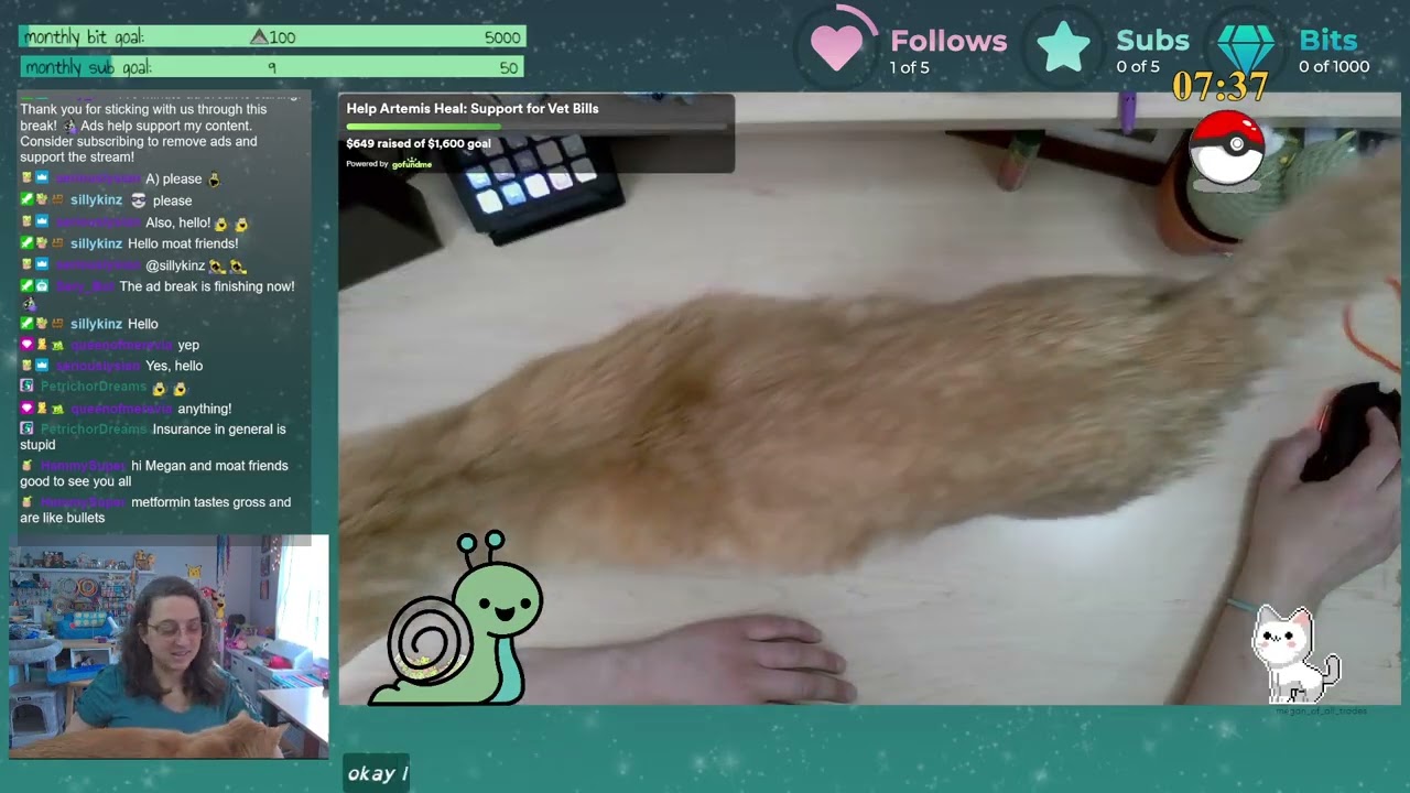 Crafts and chats (and cats)! | CC | 1/7/26